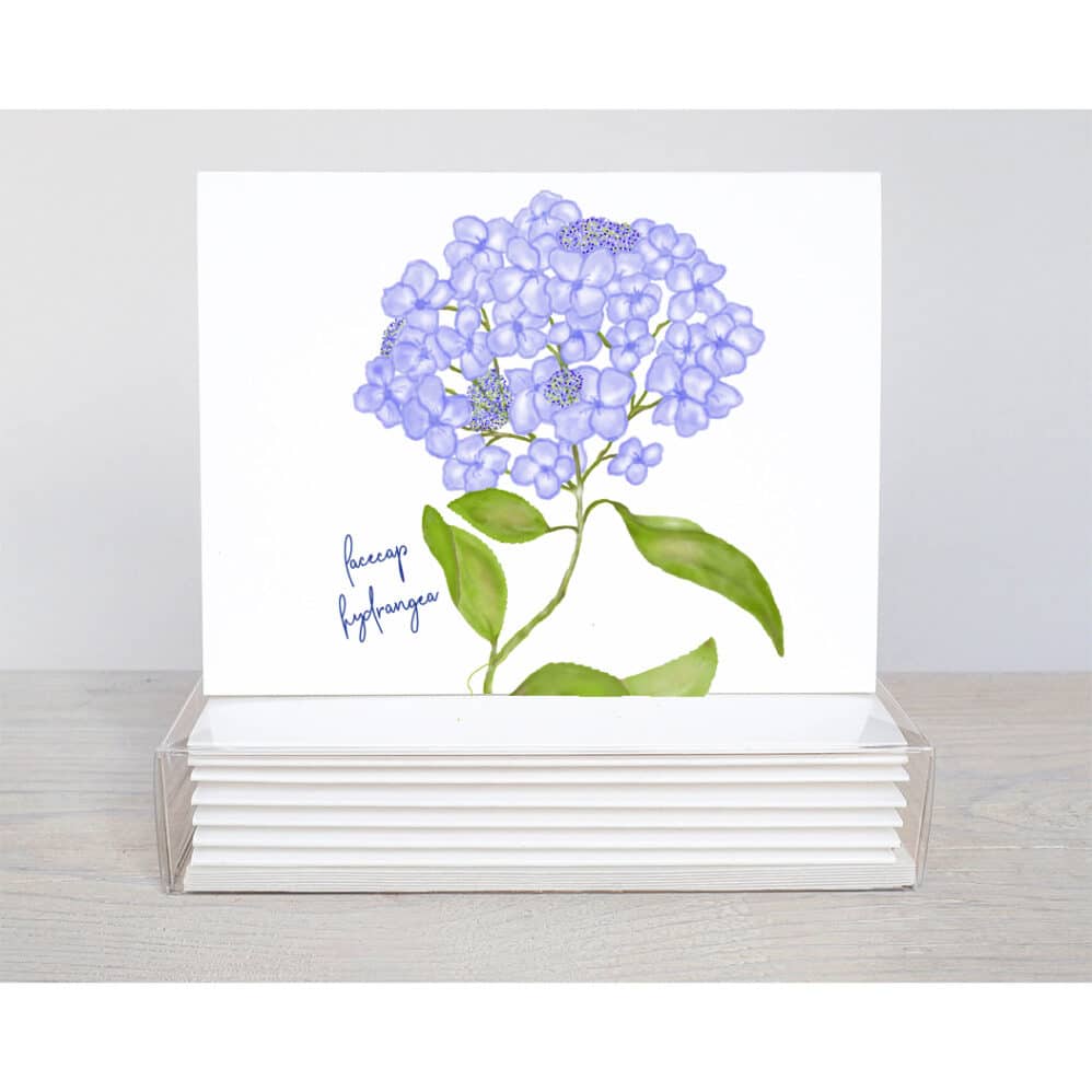 lacecap hydrangea note card