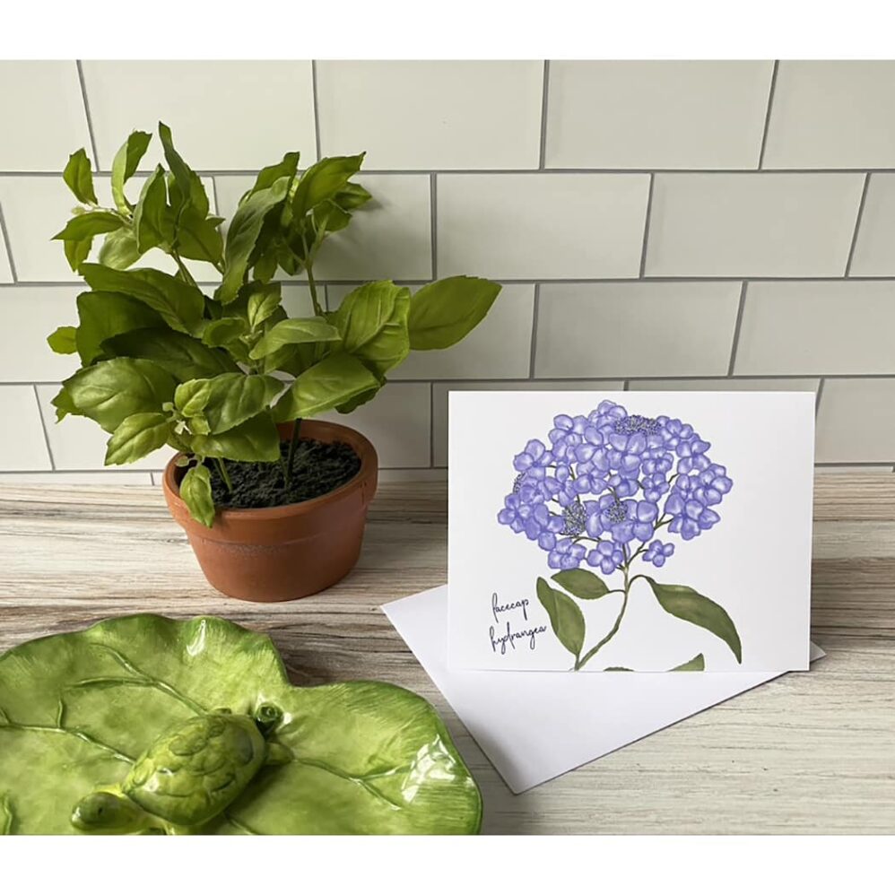 lacecap hydrangea note cards