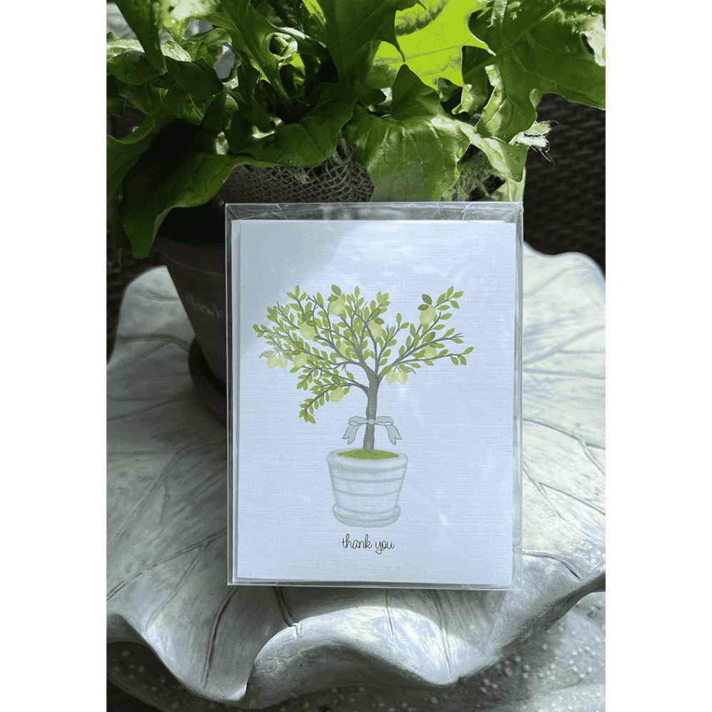 lemon tree thank you note card box