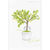 a lemon tree in a blue and white stripped flower pot with a light blue bow