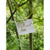 line dry card