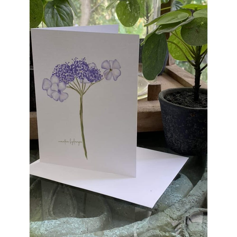 mountain hydrangea note card set