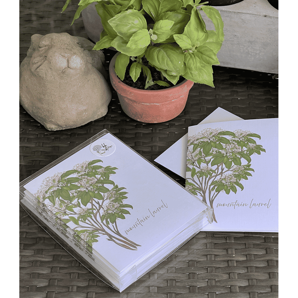 mountain laurel note cards