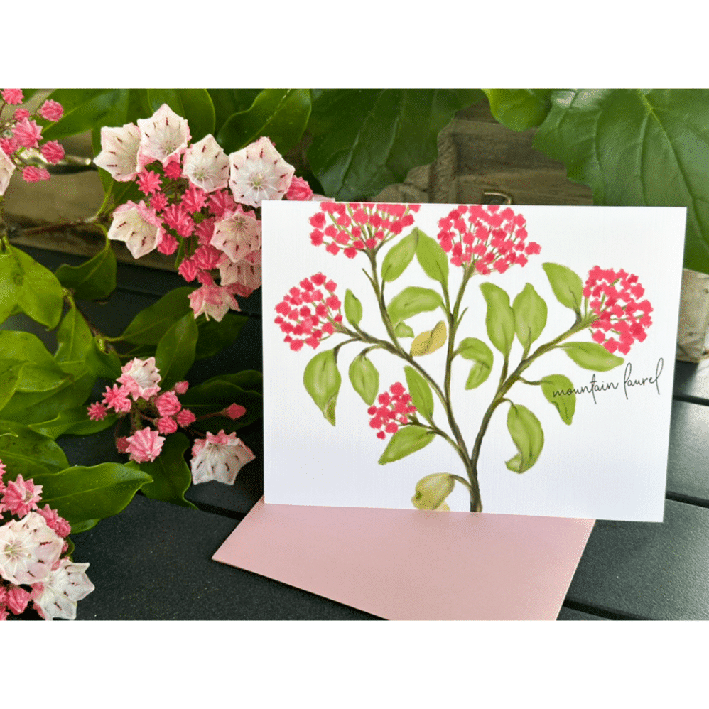 mountain laurel card 2