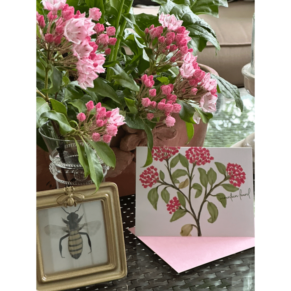 mountain laurel card