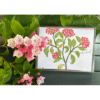 mountain laurel card box