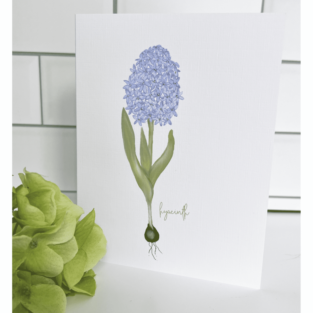 muilti flower 2 hyacinth