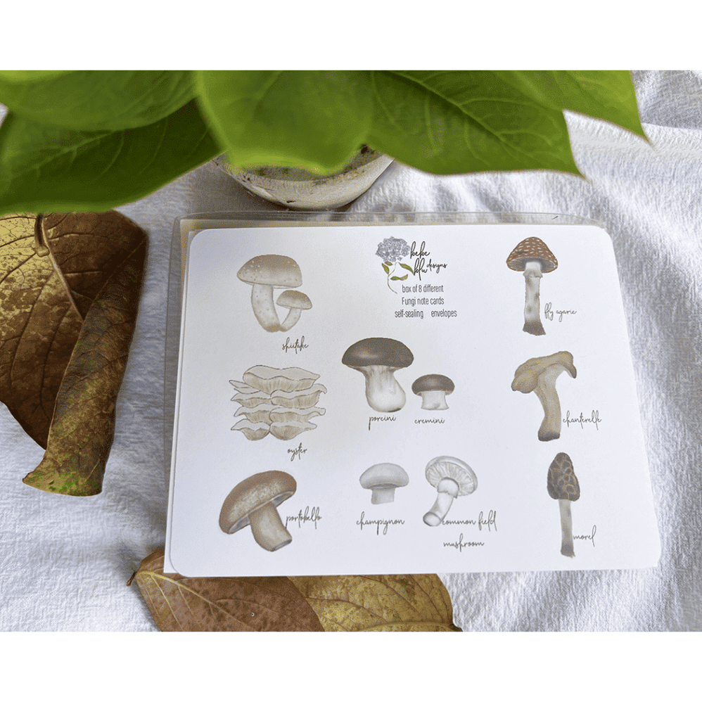 multi fungi note cards