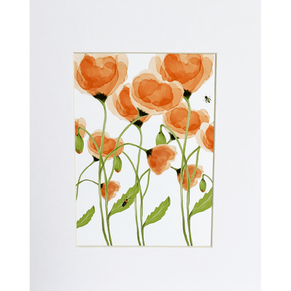 orange poppy matted print