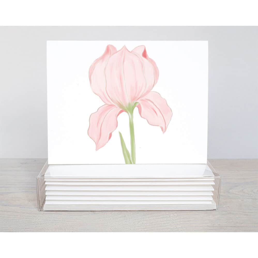 peach iris note card