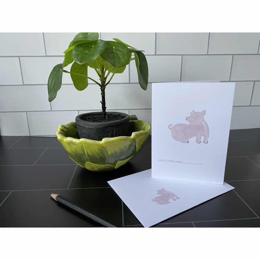 baby pig petite notes