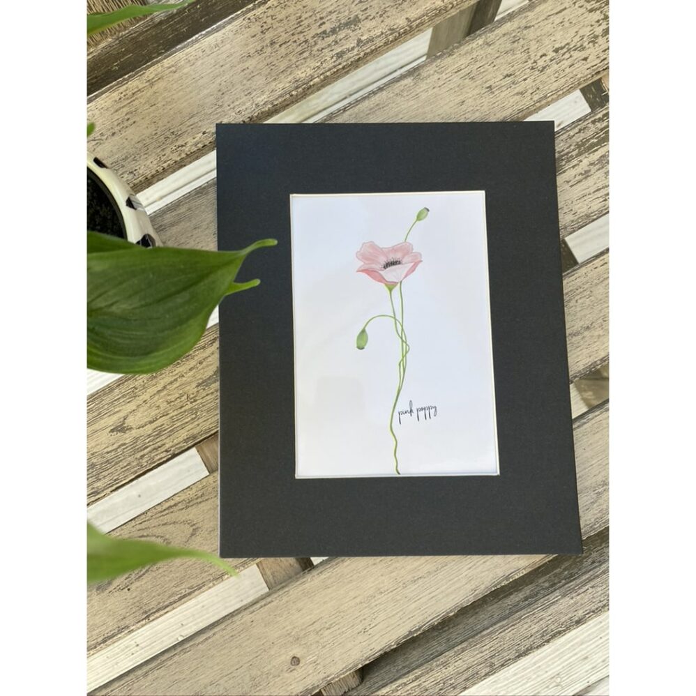 pink poppy matted print