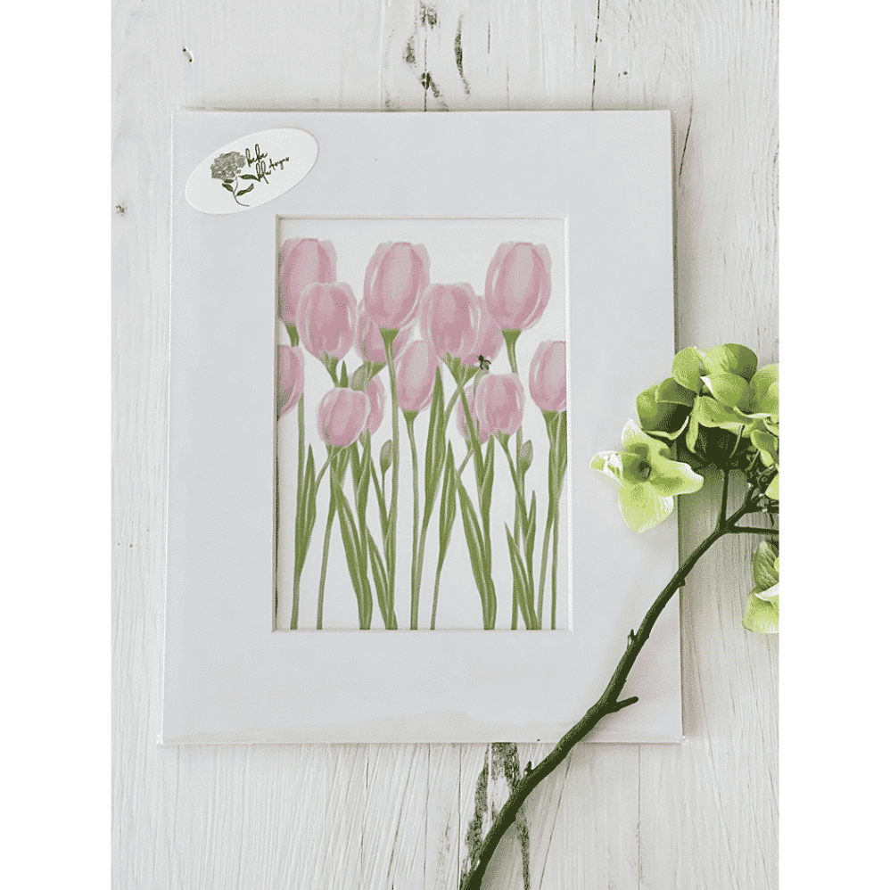 pink tulips matted print