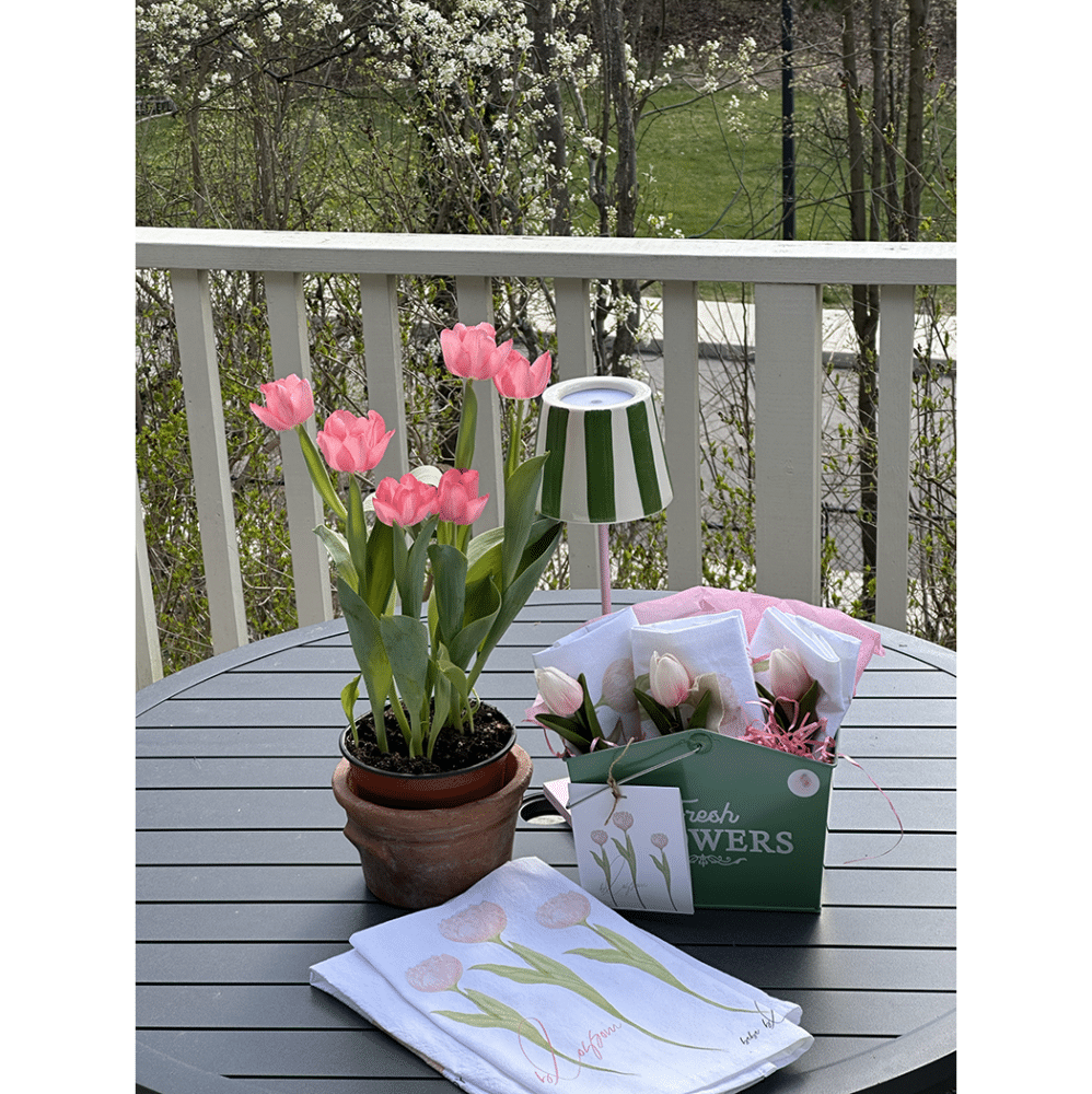 pink tulips outside