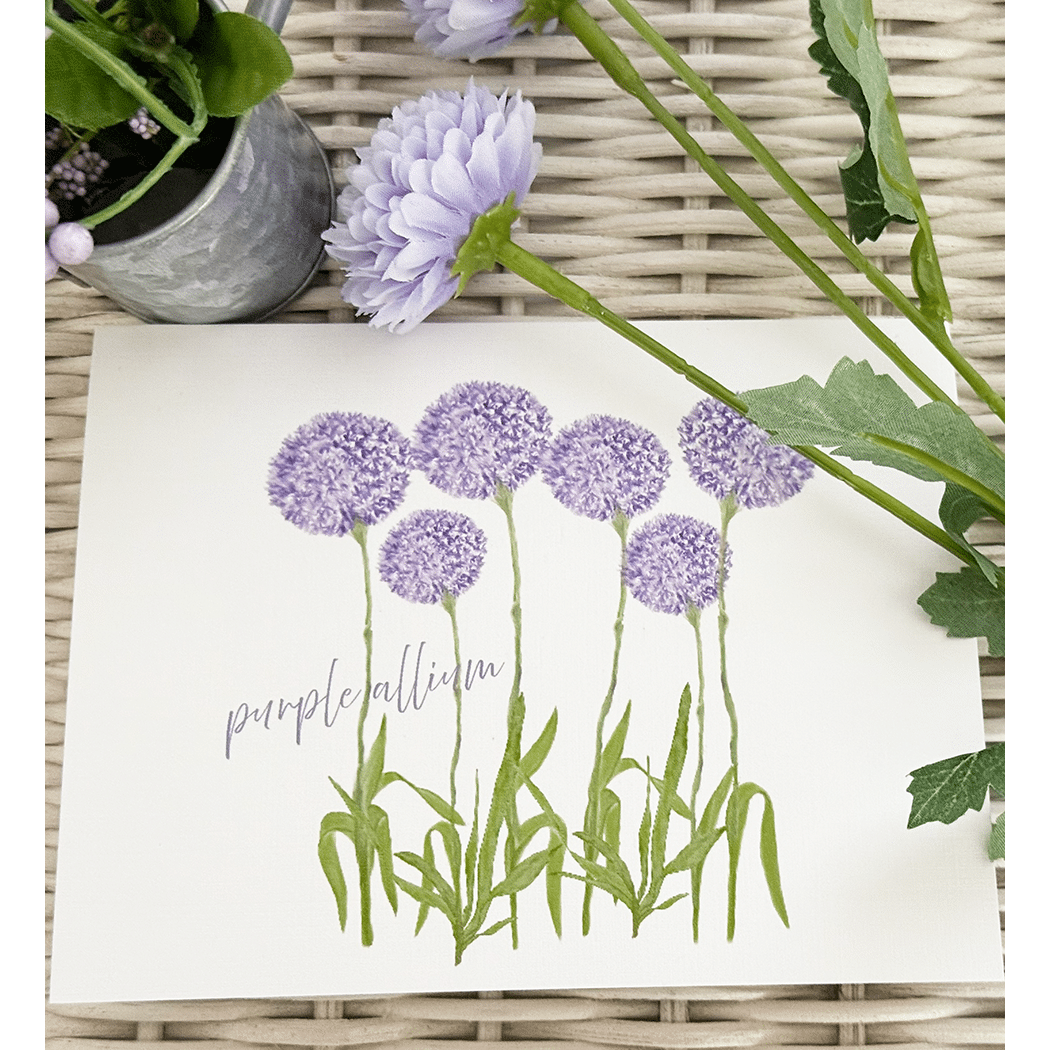 purple allium notes