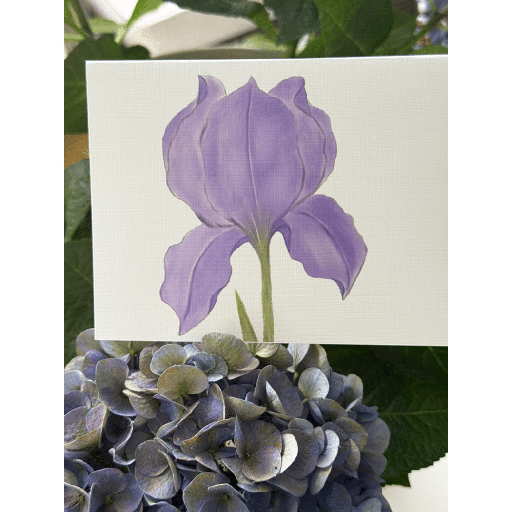 purple iris note cards