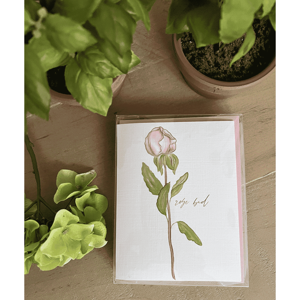 rose bud box