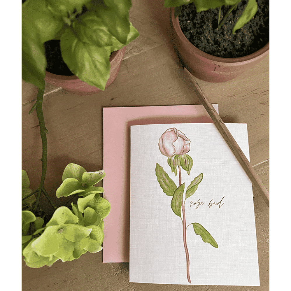 rose bud note cards