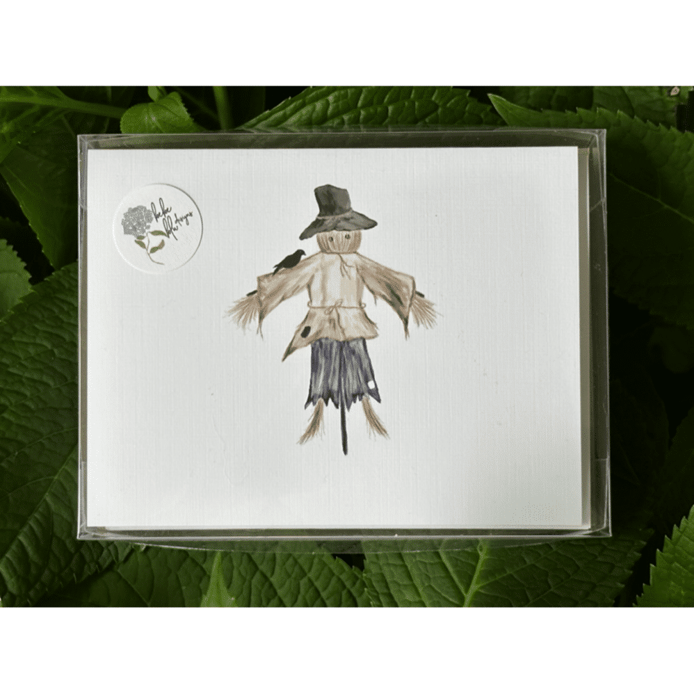 scarecrow note cards boxed