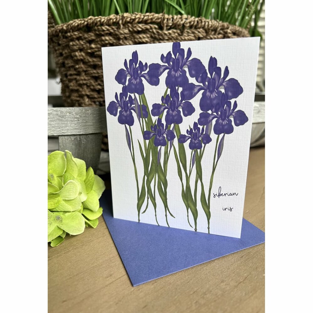 siberian iris note cards
