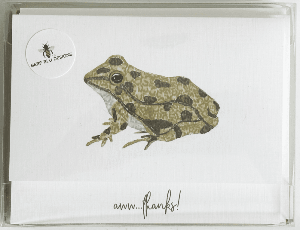 spotted frog thank you note card box