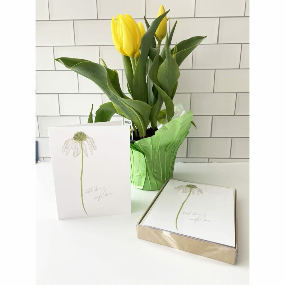white coneflower note cards